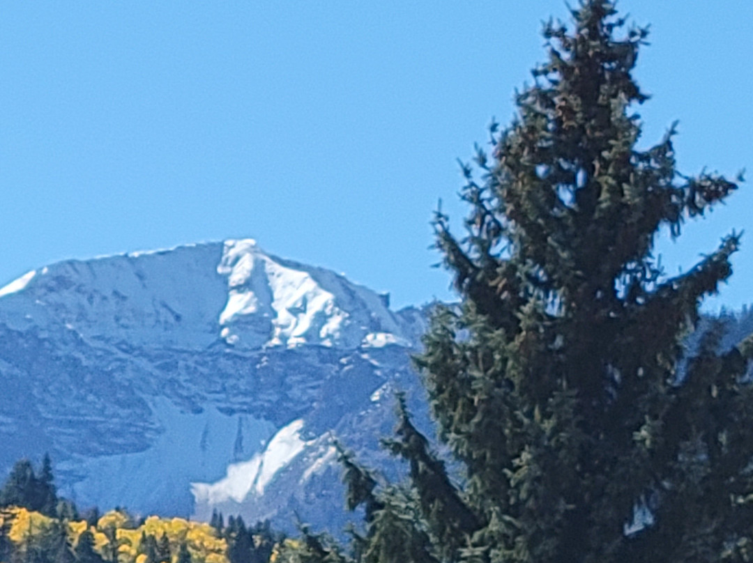 Best Western Plus Rio Grande Inn主图