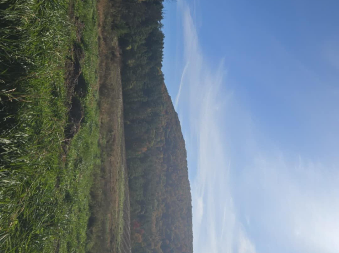 Backyard Adventure UTV Tours-East Canaan必去景点