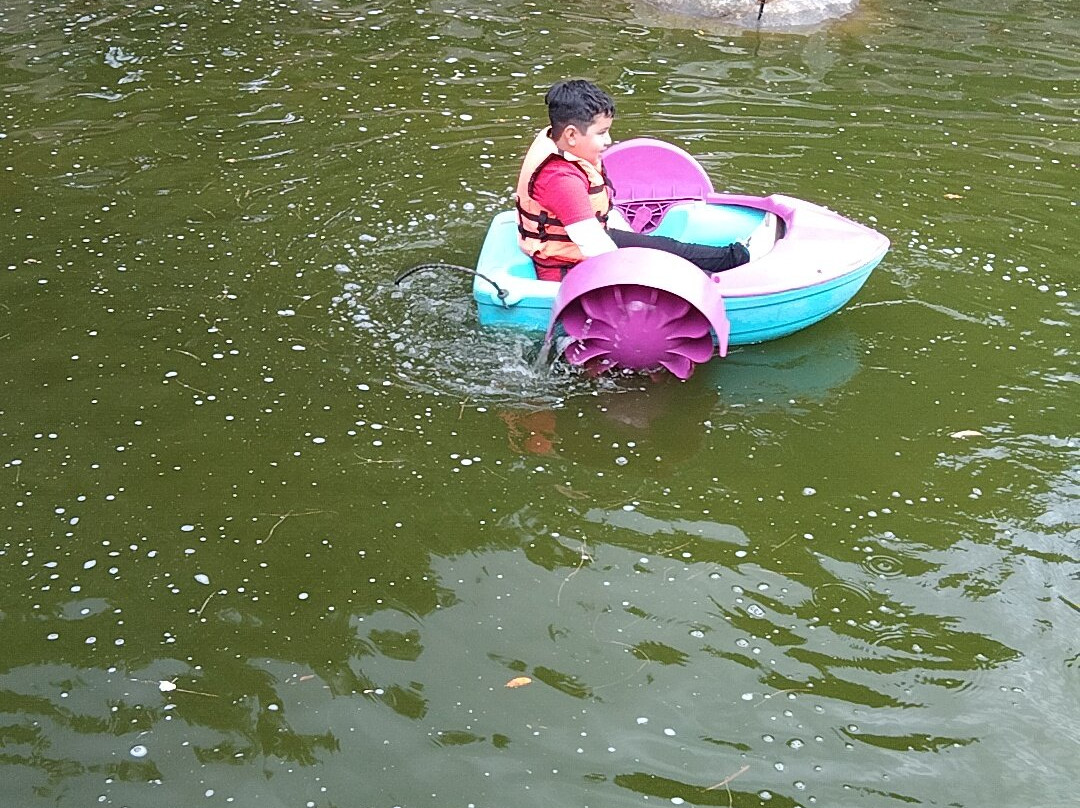 Volcanic Park-普埃布拉必去景点