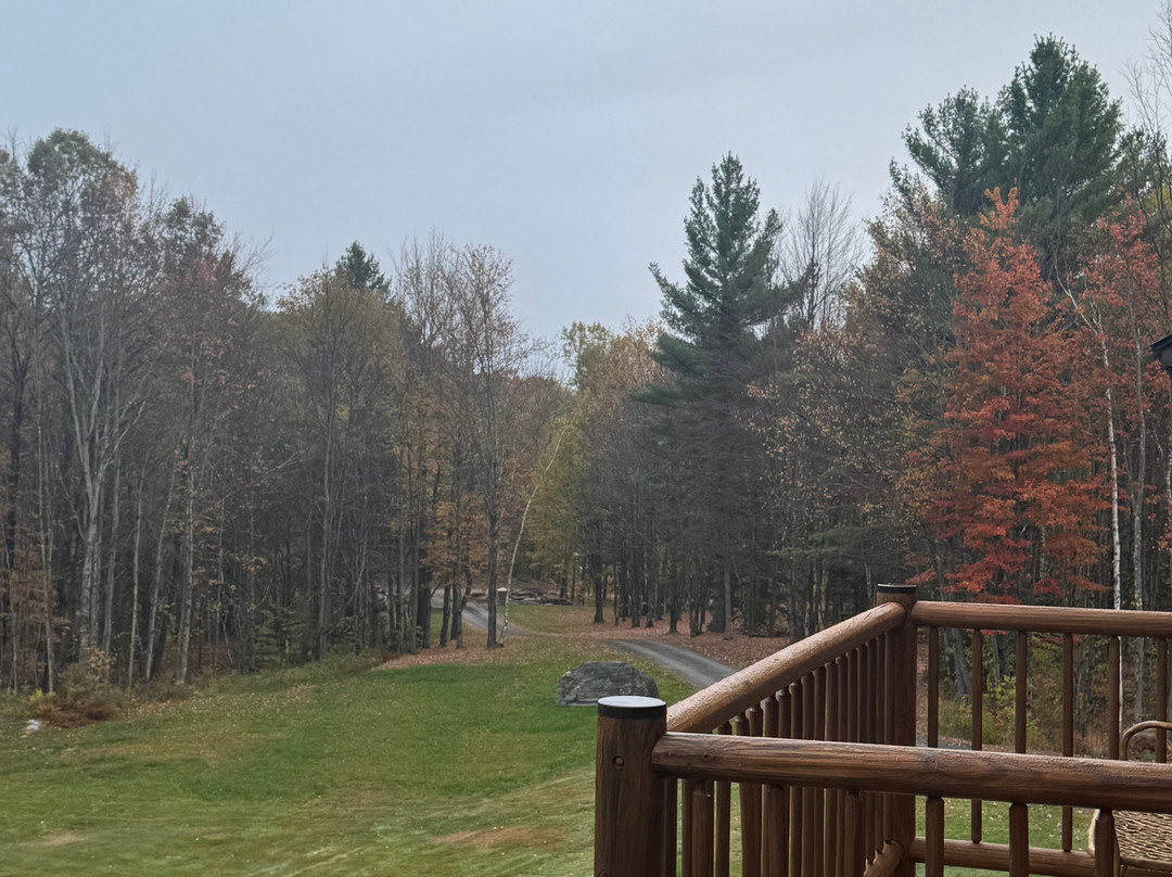 Moose Meadow Lodge & Treehouse主图