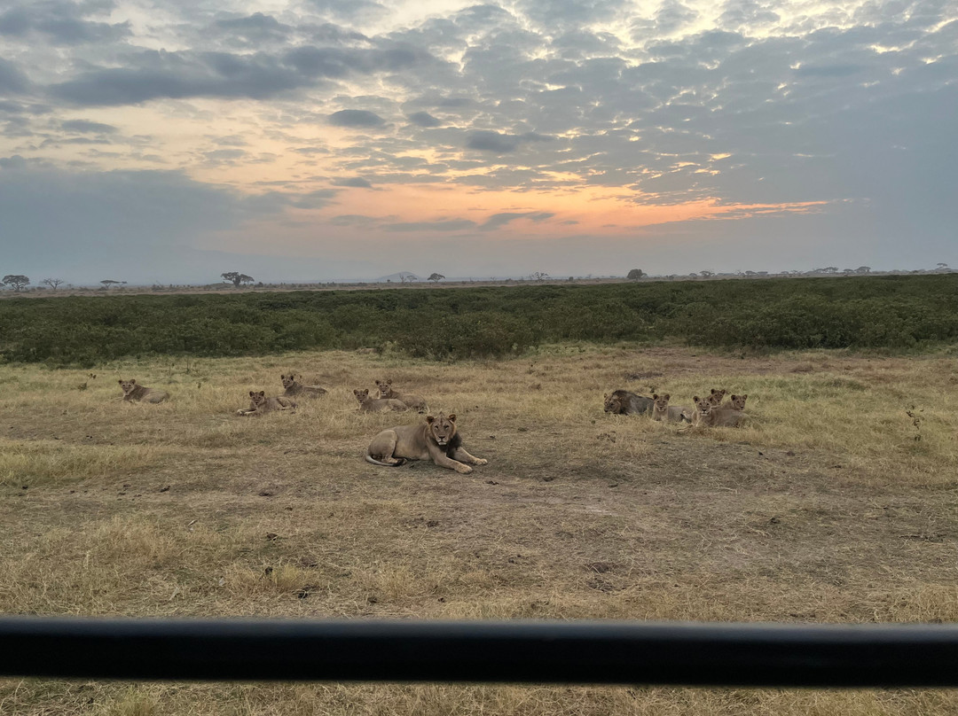 Escursioni con GrandeCane-瓦塔木必去景点