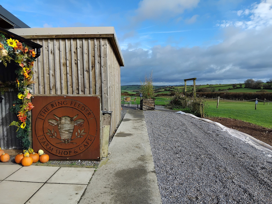 The Ring Feeder cafe