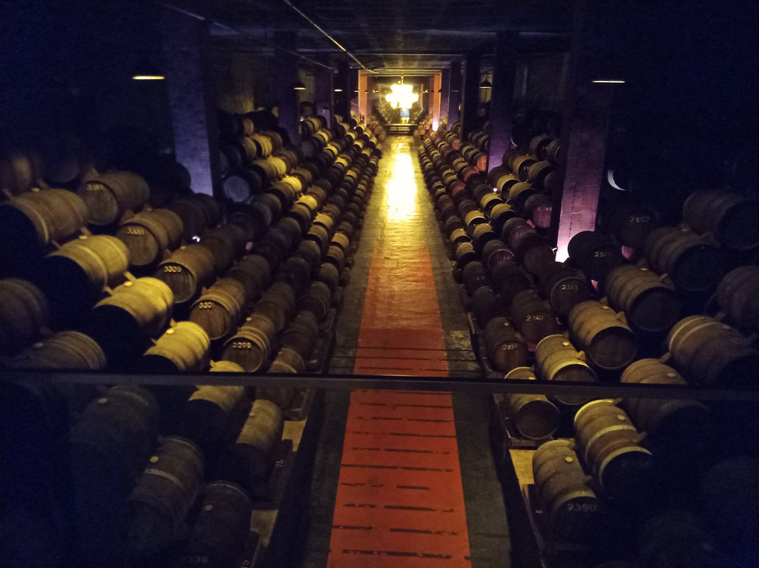 ViajePortugal-科英布拉区必去景点