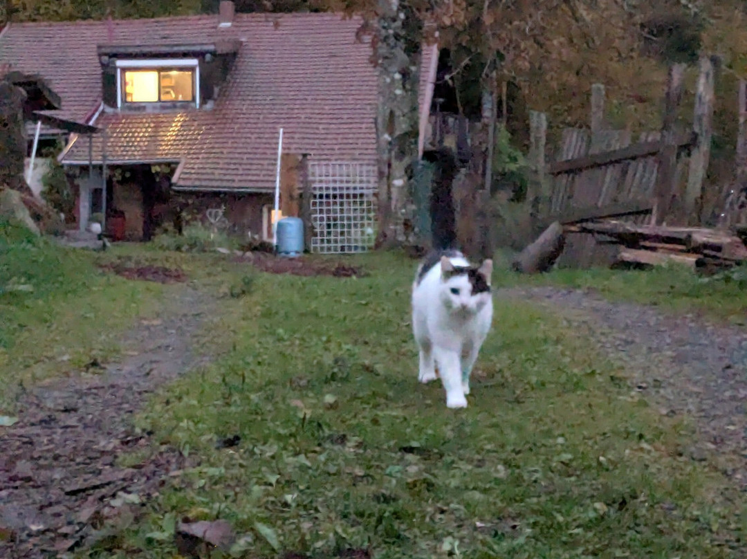 La Ferme des 4 Vents主图