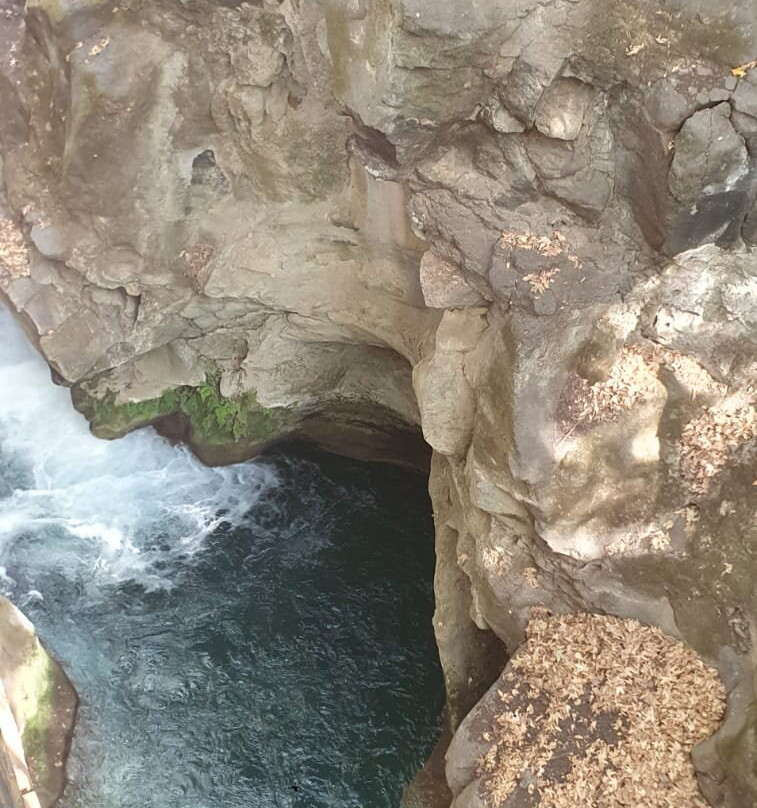 Erettz Dafna Travel Hotel主图