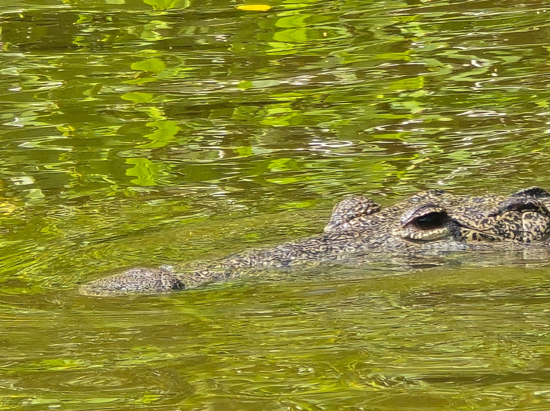 Guia Naturalista William Canto-里奥拉加托斯必去景点