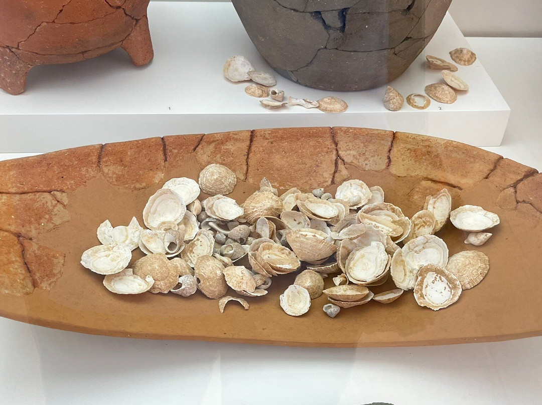 Archaeological Museum of Sitia-Sitia必去景点