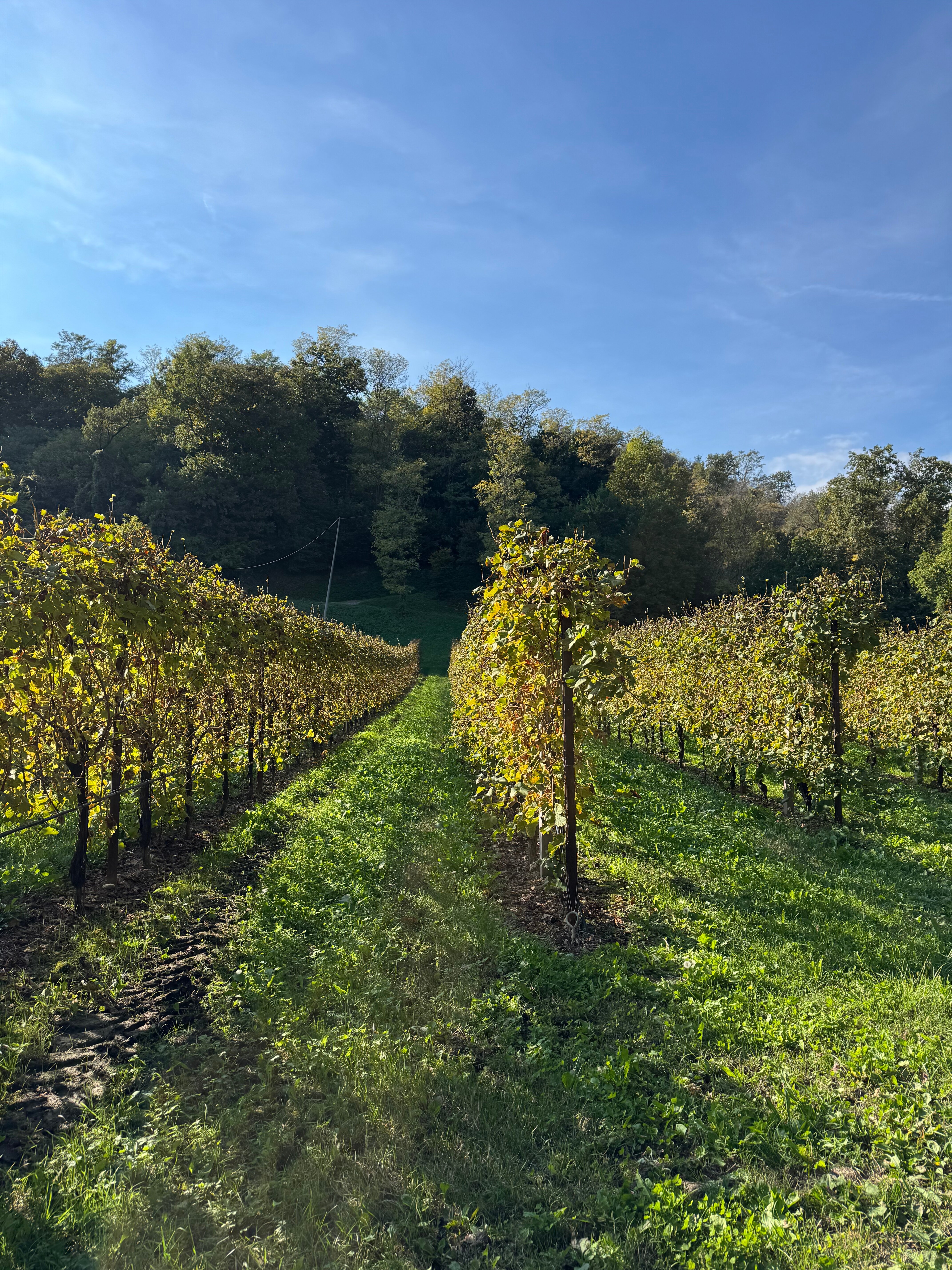 Relais d'Arfanta-官方