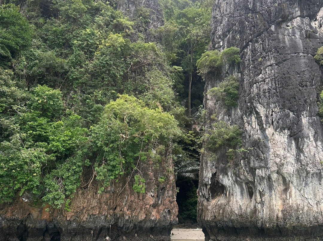 Sea Eagle Tour-甲米必去景点