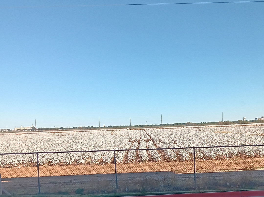 Best Western Plus Tech Medical Center Inn主图