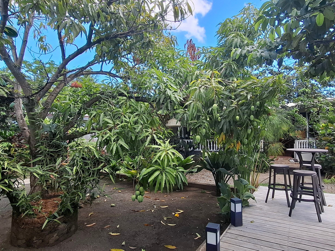 Pension Pare Lodge主图