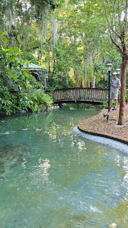 The Magnolia Plantation Bed And Breakfast Inn主图