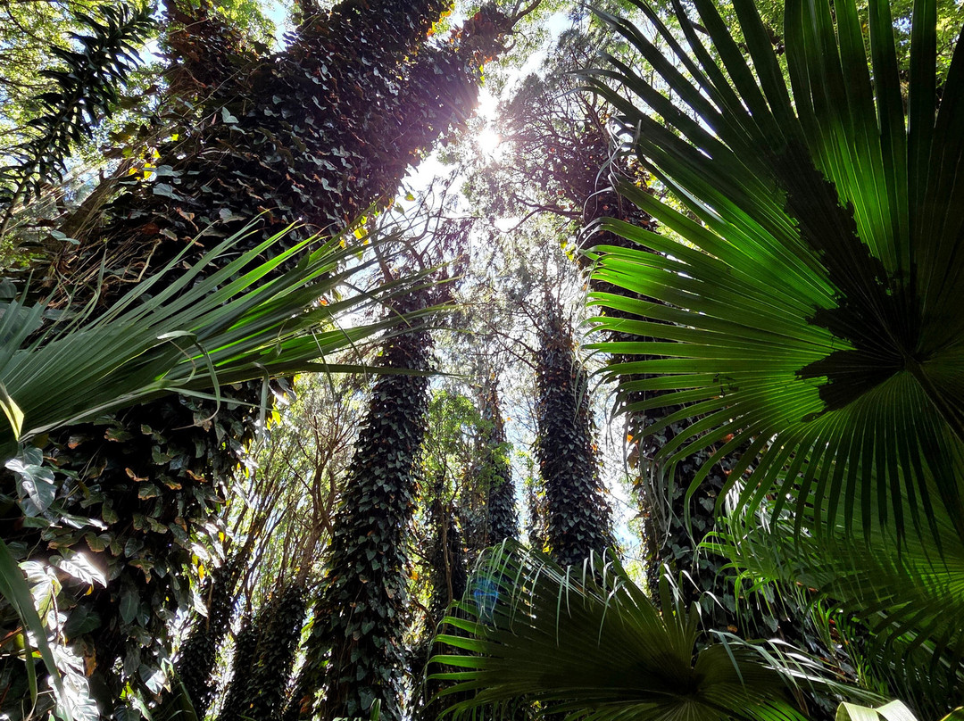 Thomson Adventures-Vacoas-Phoenix必去景点