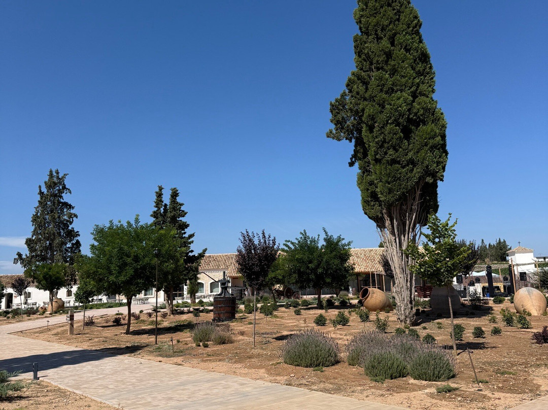 Bodega Sierra Norte-Requena必去景点