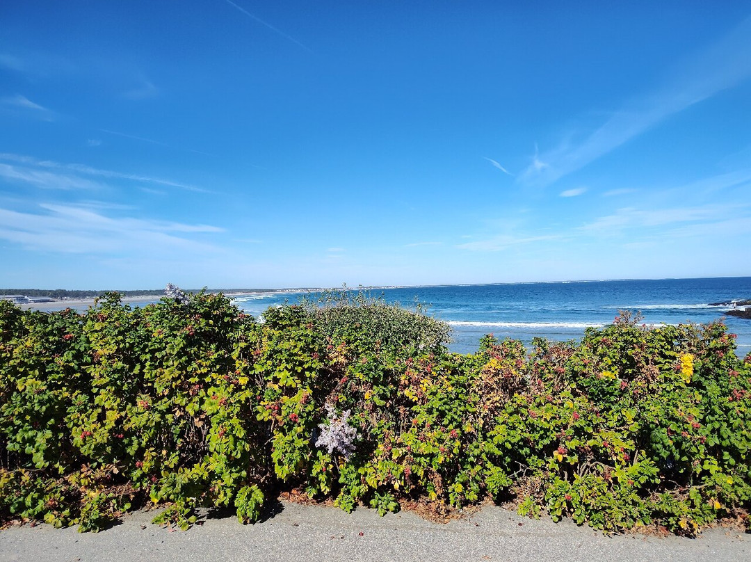 Lobster point lighthouse-奥甘奎特必去景点