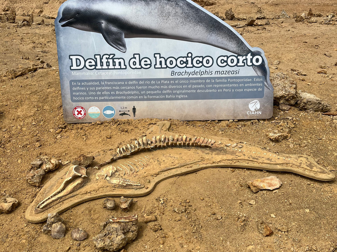 GeoTurismo Atacama-Caldera必去景点