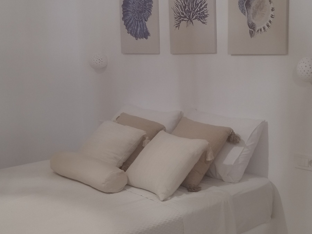 Belvedere Studios主图