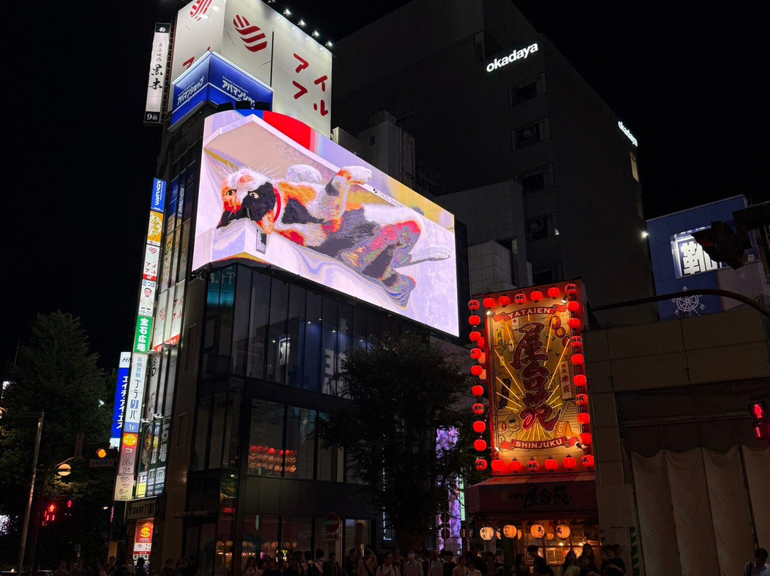 Giant 3d Cat Display Billboard-Shinjuku 3 Chome必去景点