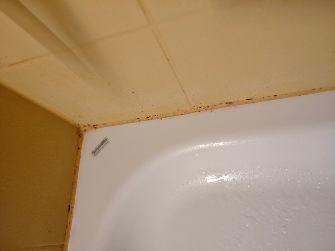 Kloster By B_smart主图