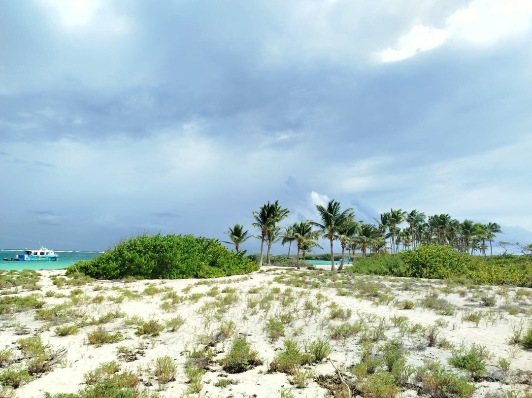 Authentique Excursion-Sainte-Anne必去景点