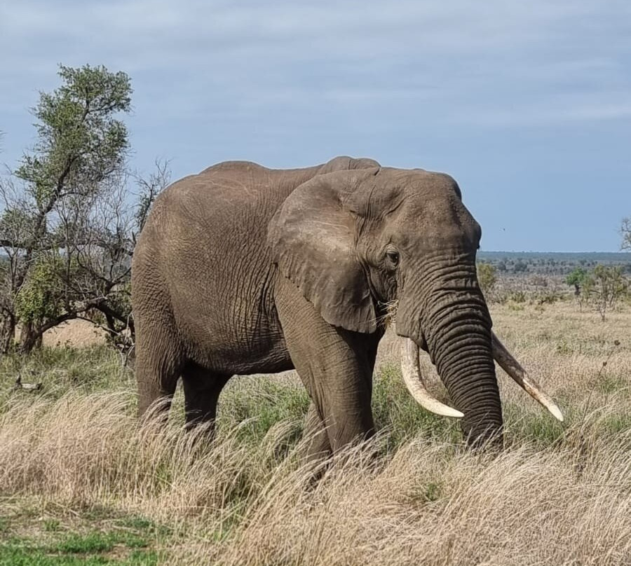 Mthunzi Safaris and Transfers-雾观必去景点