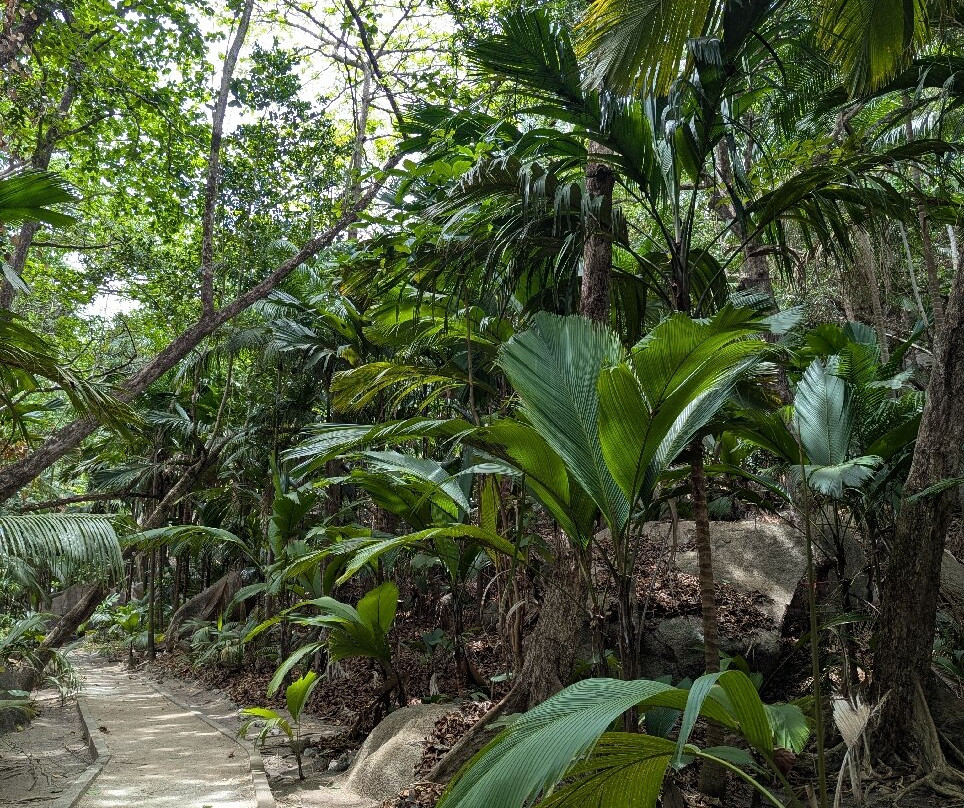 Fond Ferdinand-马埃大安塞区必去景点