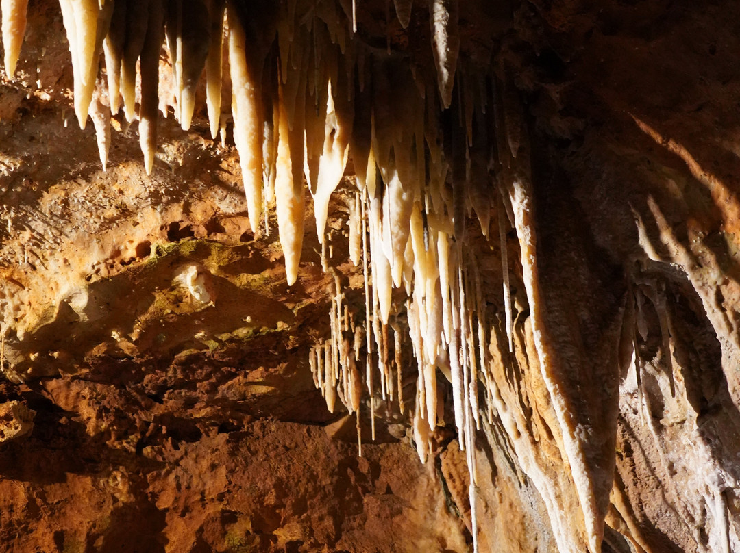 Grotte de Saint-Cézaire-Saint-Cezaire-sur-Siagne必去景点