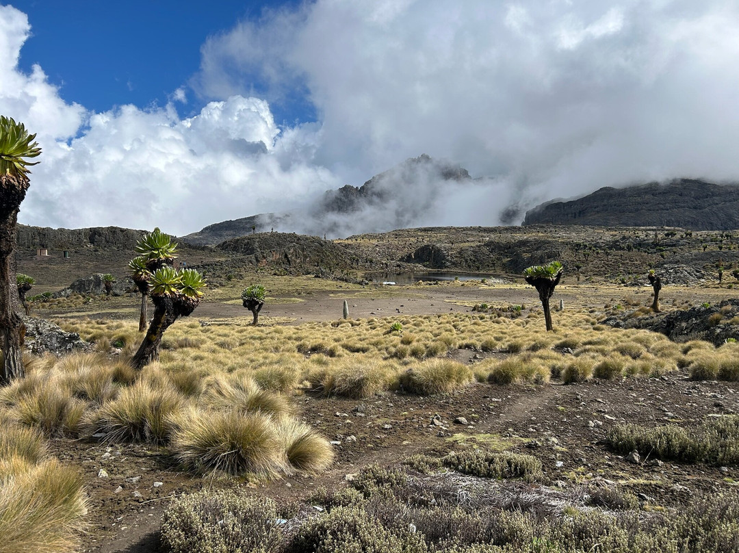 Ahambi Tours-南由基必去景点