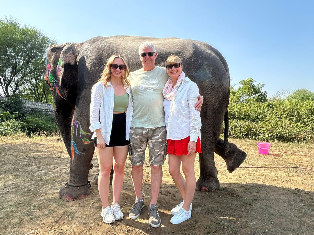 Elefanjoy Elephant Sanctuary-斋蒲尔必去景点