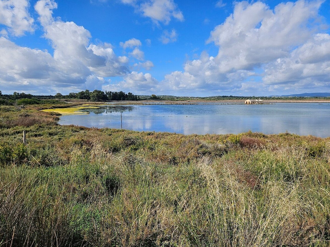 Riserva di Vendicari-诺托必去景点