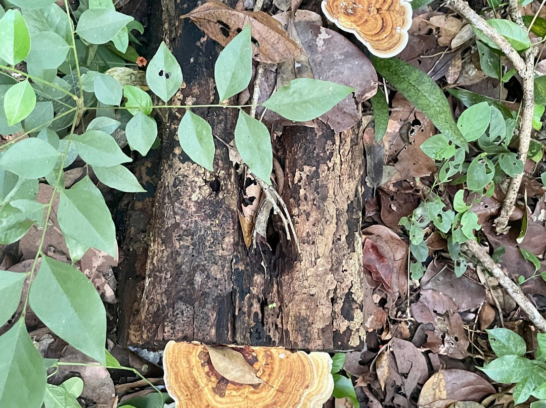 Báalam Nah; Experiencias de Aventura.-Felipe Carrillo Puerto必去景点