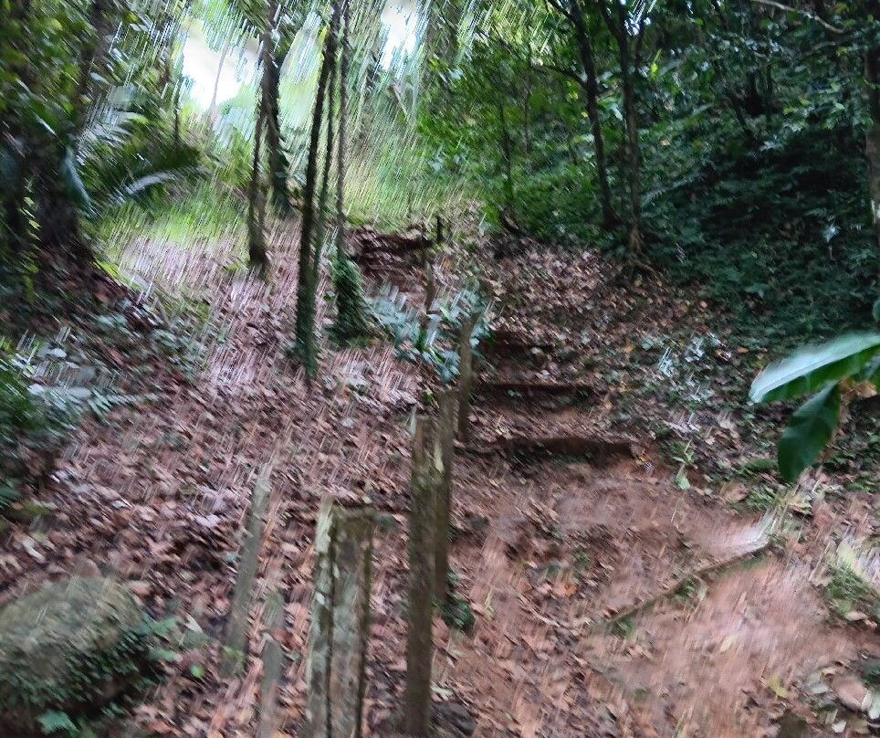 Grand Etang National Park-Saint Andrew Parish必去景点