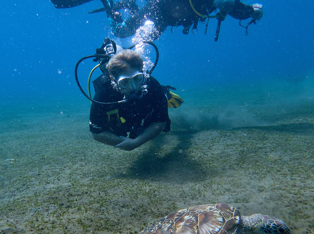 Wet Frog Divers-Labuan Bajo必去景点
