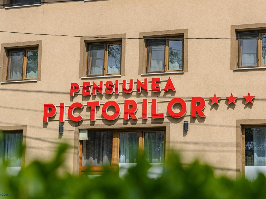 Luna酒店住宿-Pensiunea Pictorilor - Cazare Baia Mare