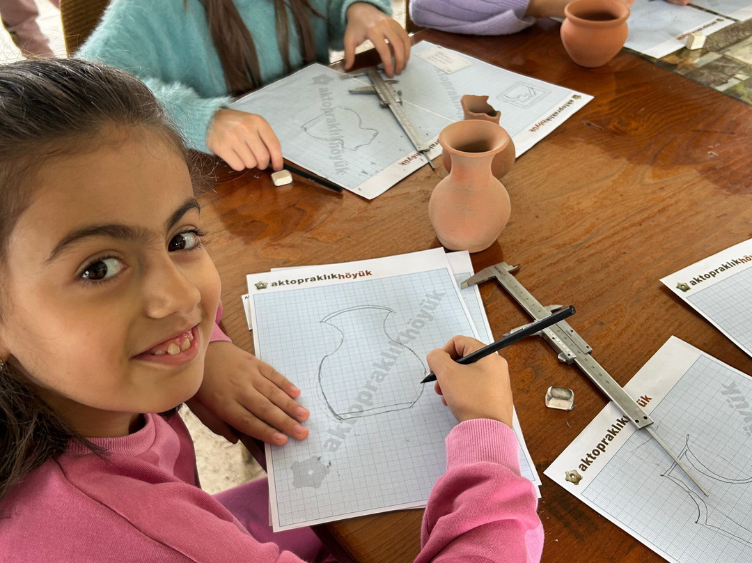 Aktopraklik Hoyuk Arkeopark ve Acikhava Muzesi-布尔萨必去景点