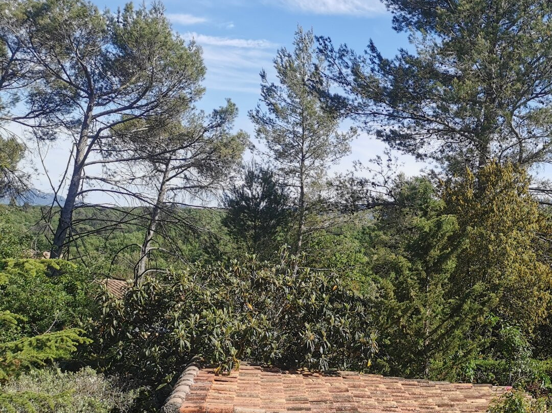 Saint-Maximin-la-Sainte-Baume酒店住宿-l'Oree du Bois