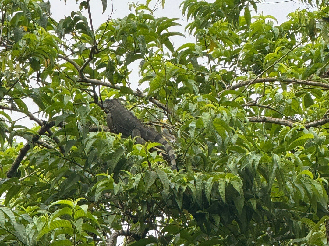 Chocorart-旧港必去景点