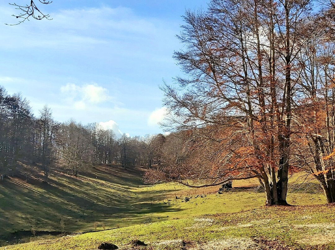 Campo dell'Osso-Subiaco必去景点