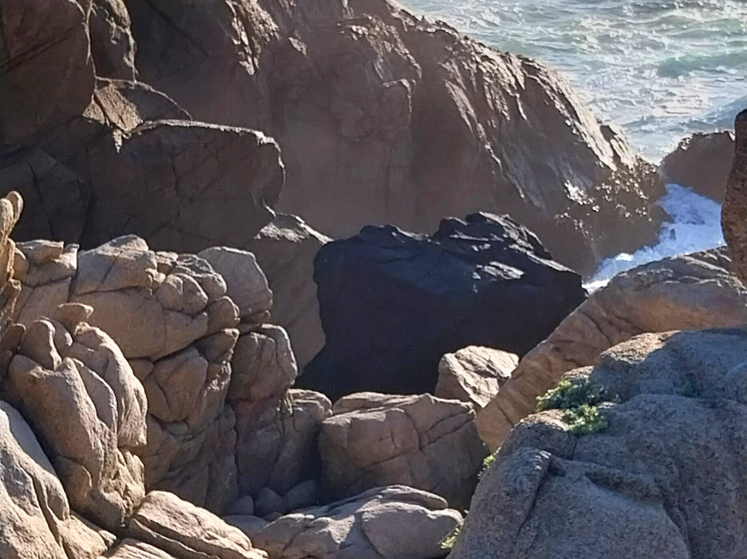 Roca Oceanica-Concon必去景点