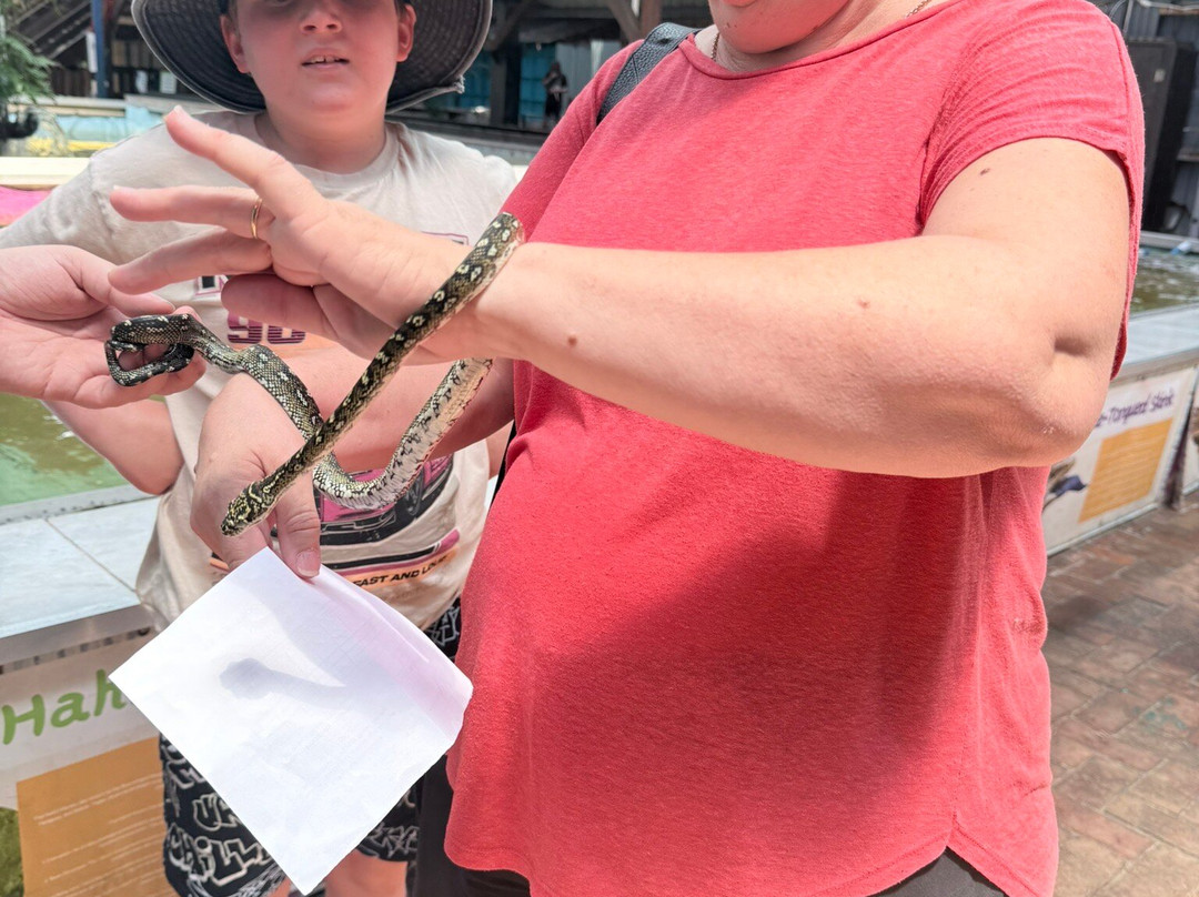 Shark And Ray Rescue Centre-Bobs Farm必去景点