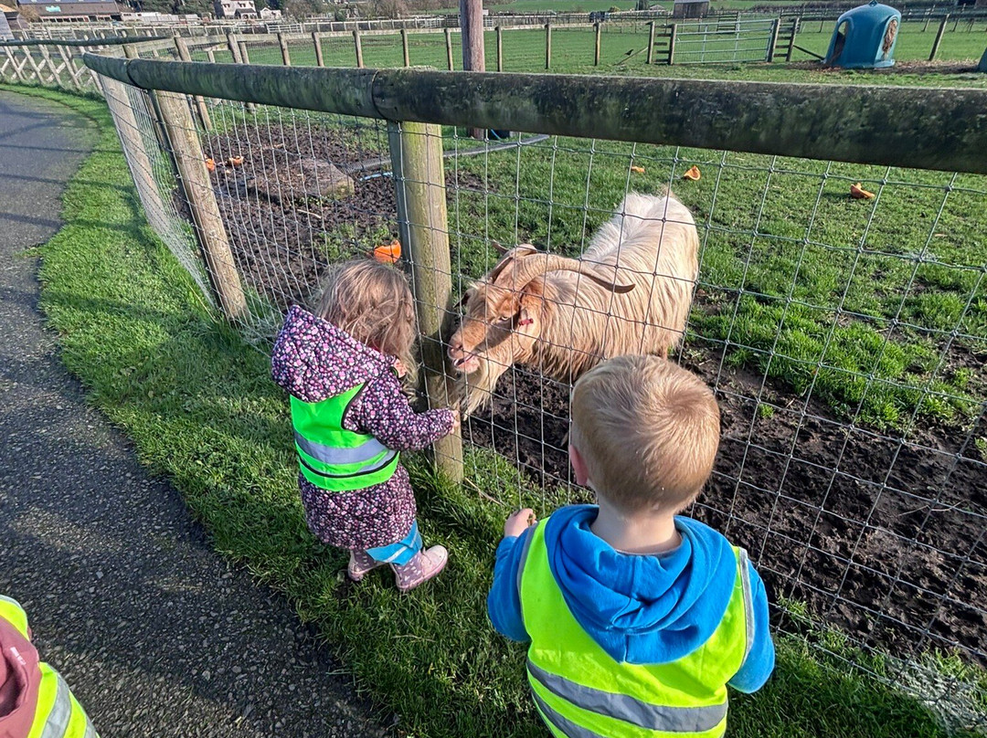 Matlock Farm Park-马特洛克必去景点