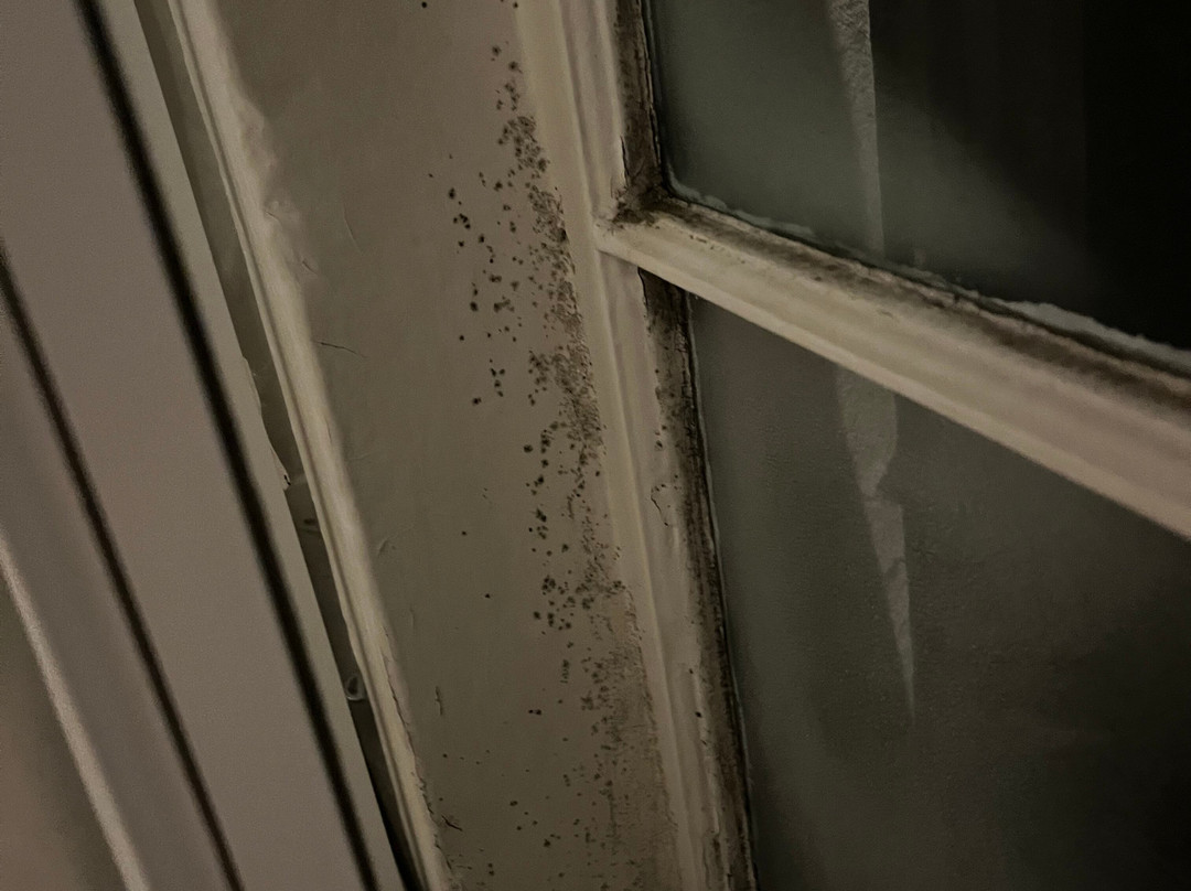 The Speech House Hotel主图