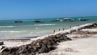 Isla Holbox-Holbox Island必去景点