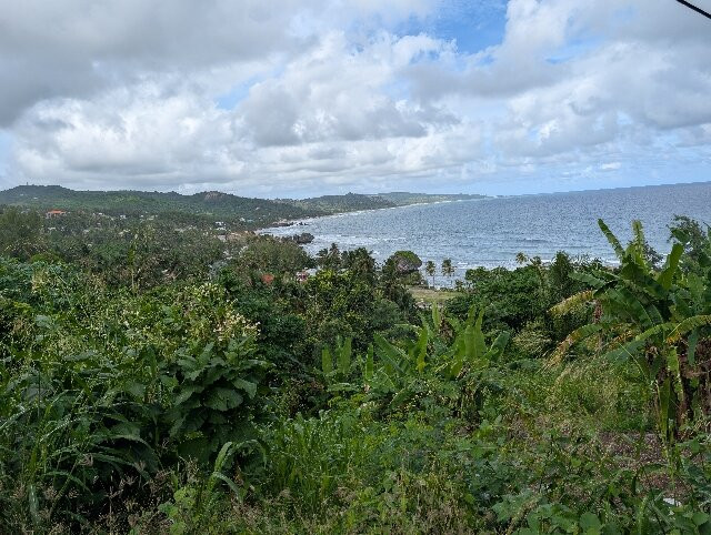 Island Safari Barbados-Saint Michael Parish必去景点