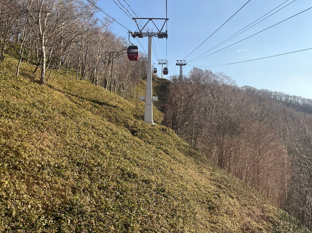 登别熊牧场-登别市必去景点