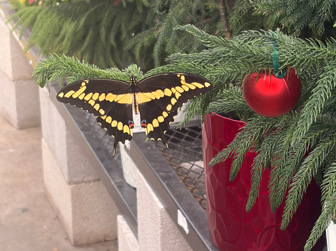 Iguanaland-蓬塔戈尔达必去景点