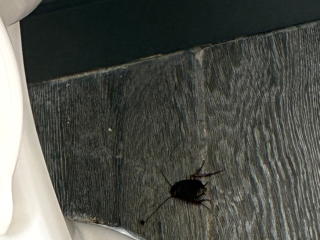 Hampton Inn Valdosta/Lake Park Area主图