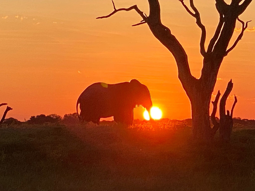 Top Africa Safaris-迪亚尼必去景点