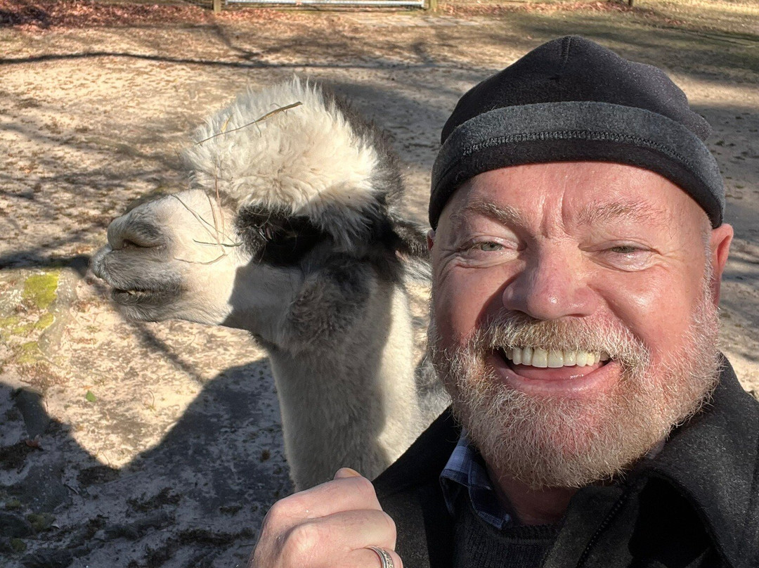 Jersey Shore Alpacas-开普梅必去景点