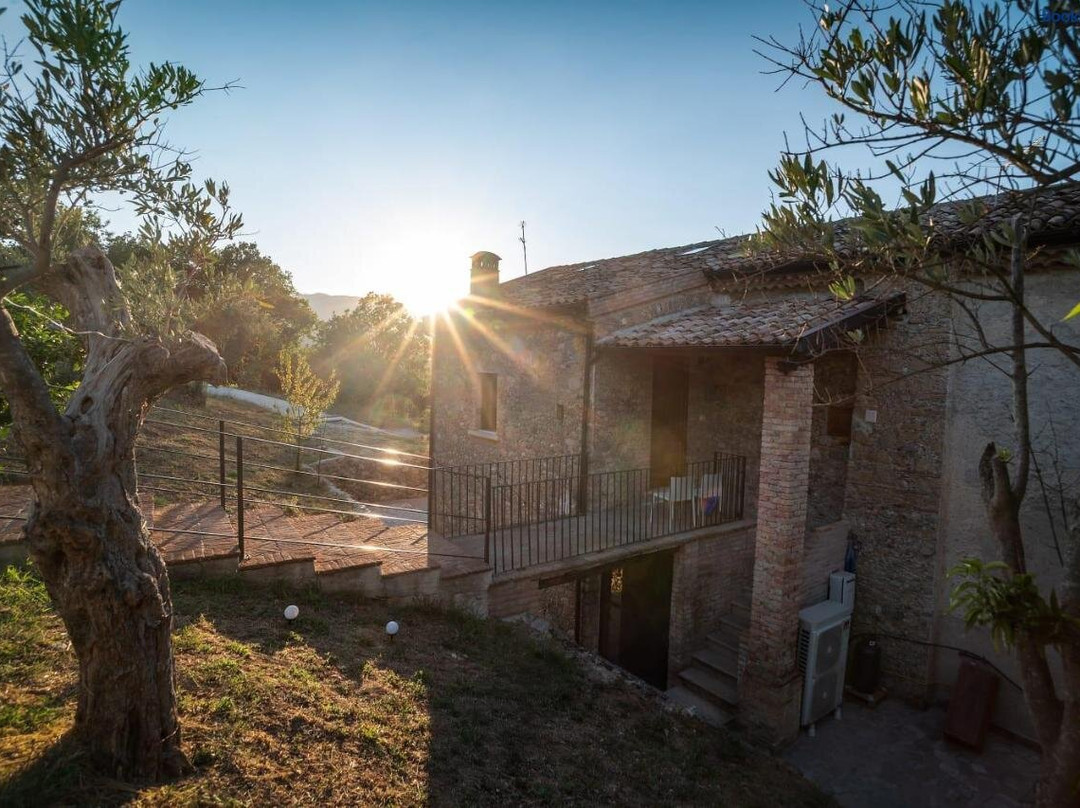 B&b Italia Rende